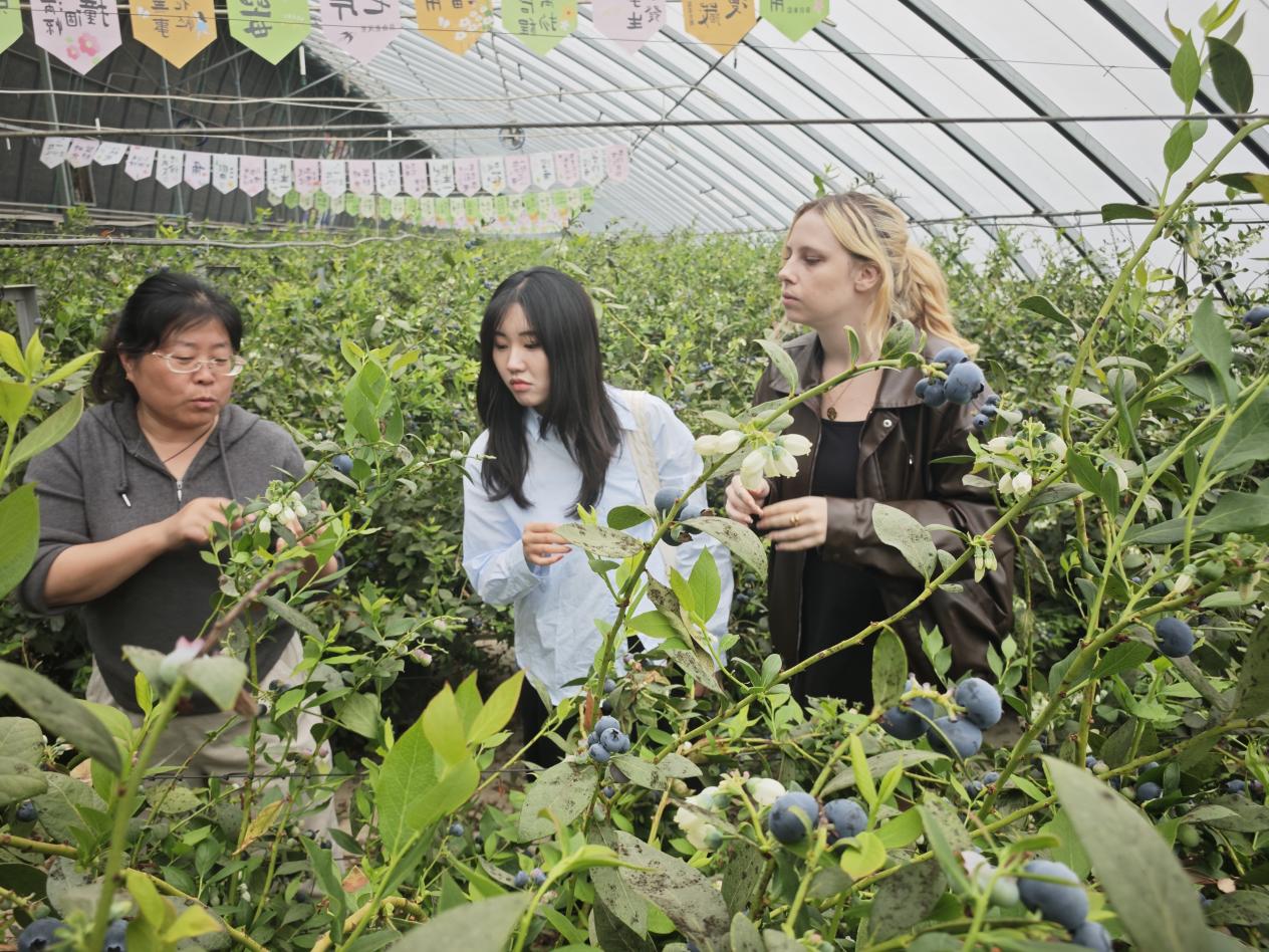 微信图片_20250421120411